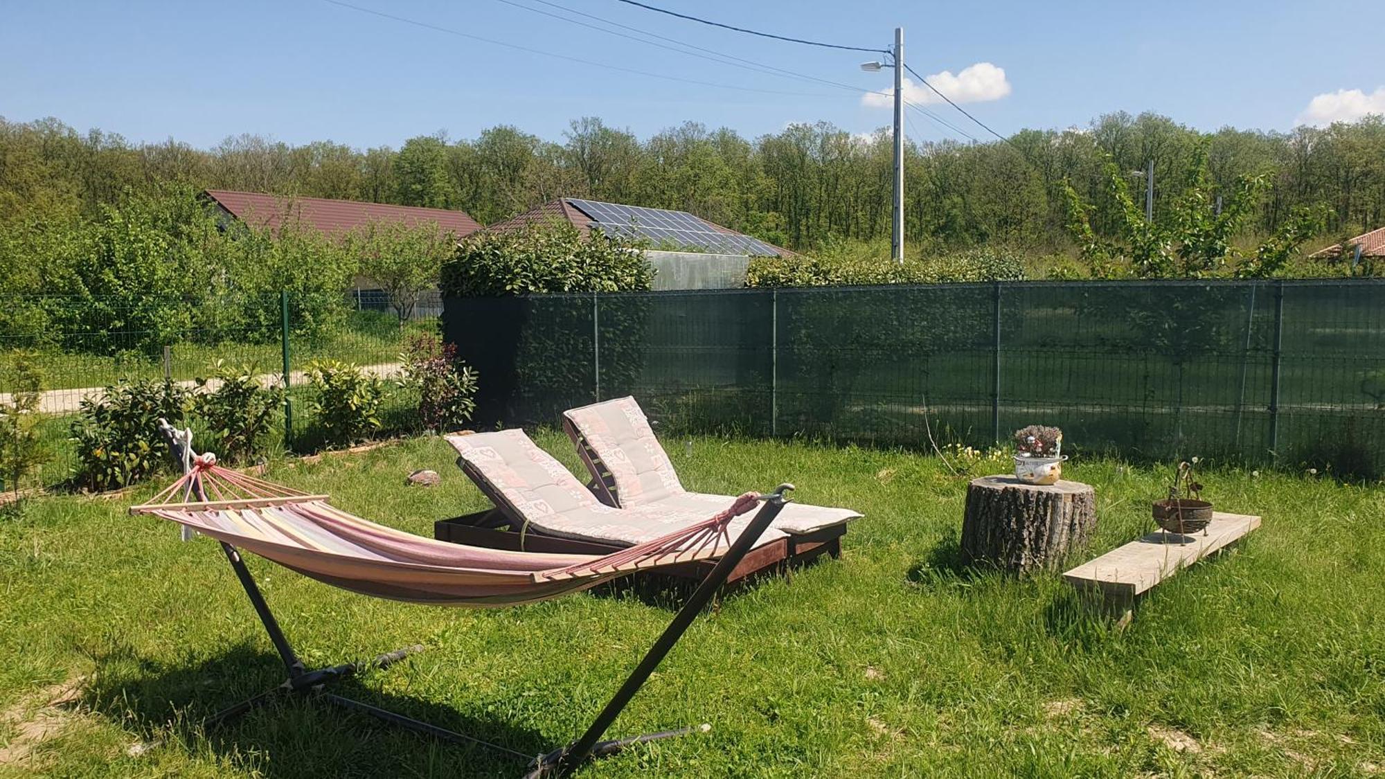 Forest Relax Near Oradea -Pet Friendly Les Esterno foto